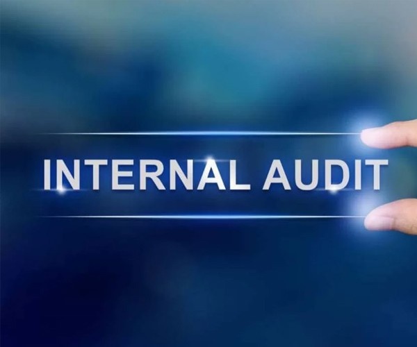 Internal Audit in G B Road Internal Audit in G B Road